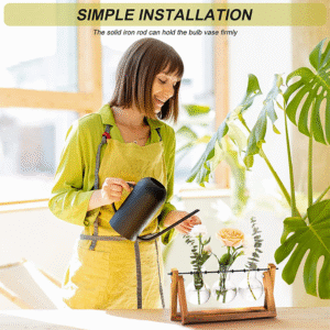 Plant Terrarium